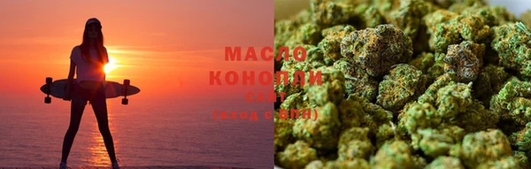 spice Инта