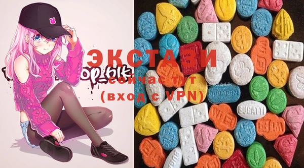 spice Инта