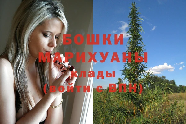 прущий лед Инсар