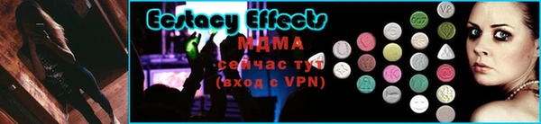 spice Инта