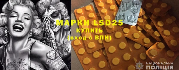 прущий лед Инсар