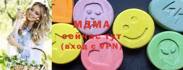spice Инта