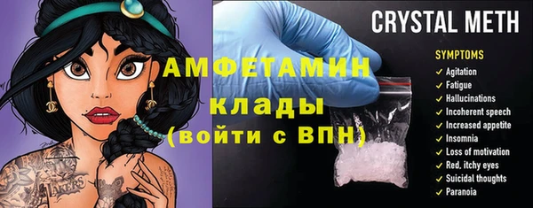 spice Инта