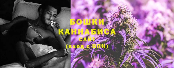 ALPHA PVP Иннополис