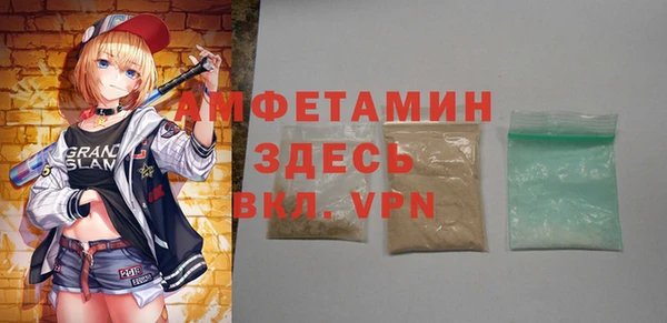 spice Инта