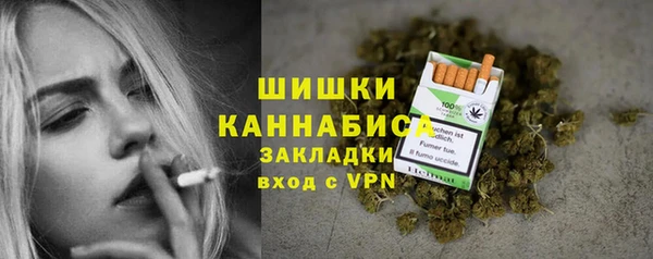 прущий лед Инсар