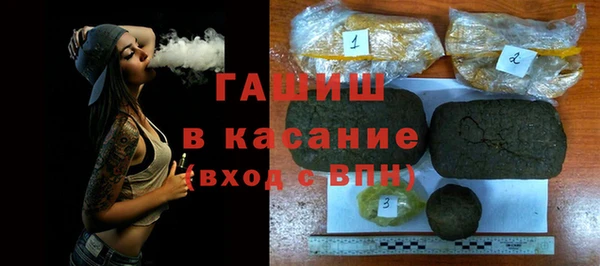 spice Инта