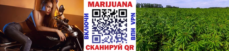 Каннабис OG Kush  Купить закладки  Цимлянск 